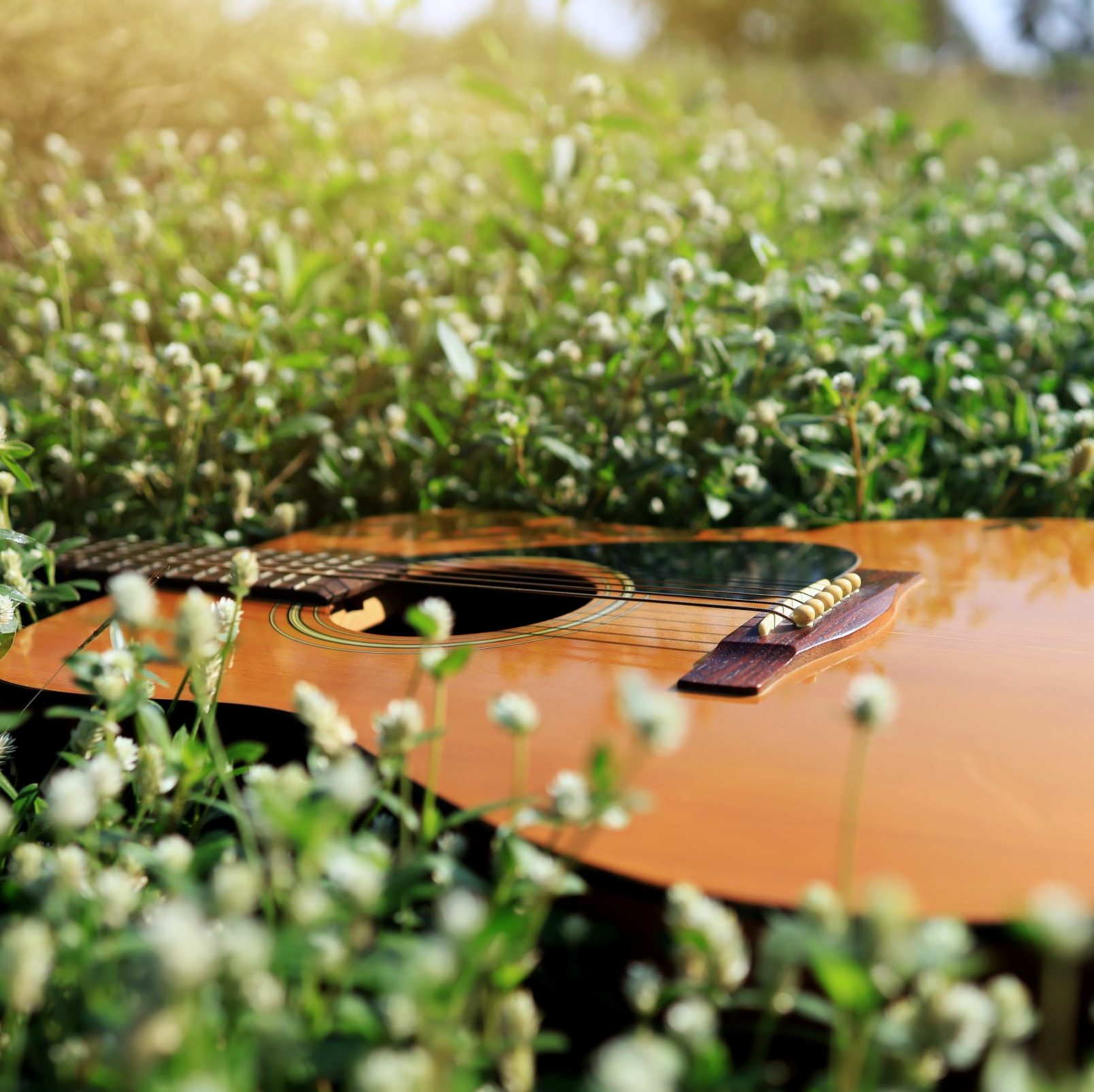 An acoustic guitar laying in a field