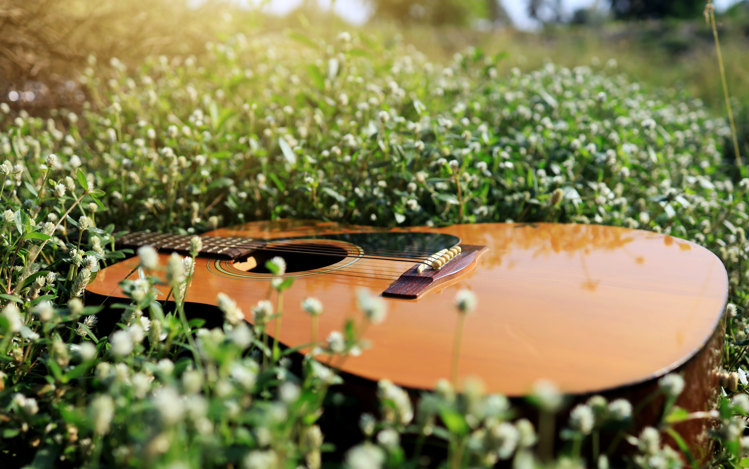 An acoustic guitar laying in a field